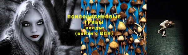 марки lsd Инсар