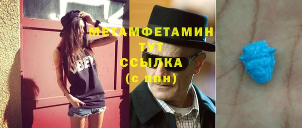 индика Инта