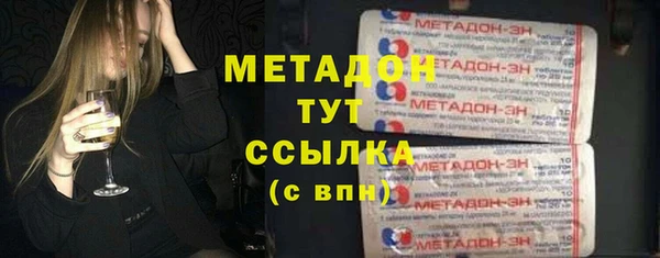 индика Инта