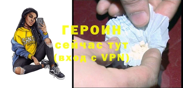 индика Инта