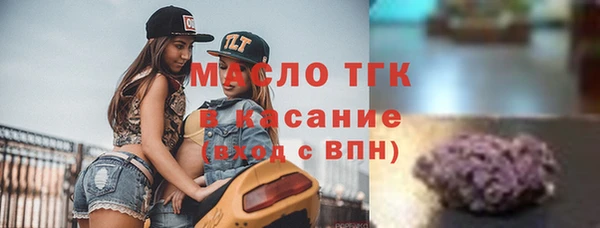 индика Инта