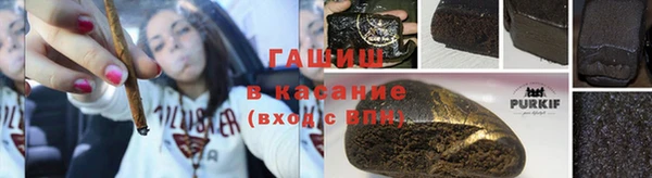 индика Инта
