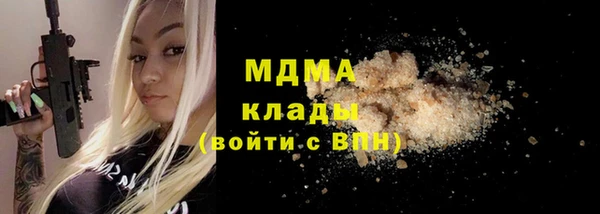 индика Инта