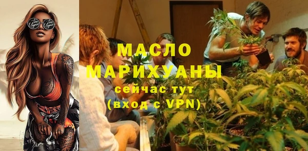 индика Инта