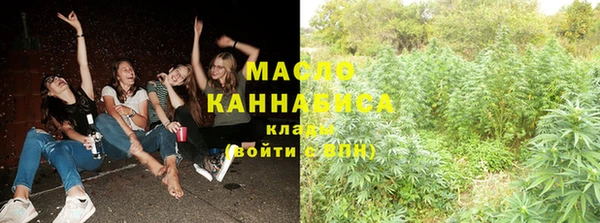 индика Инта