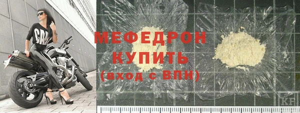 индика Инта
