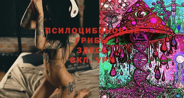 марки lsd Инсар
