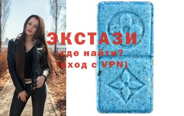 индика Инта