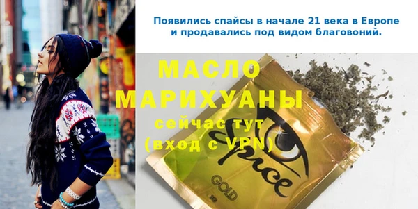 индика Инта