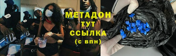 индика Инта