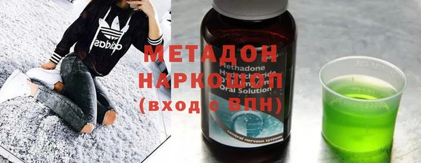 индика Инта