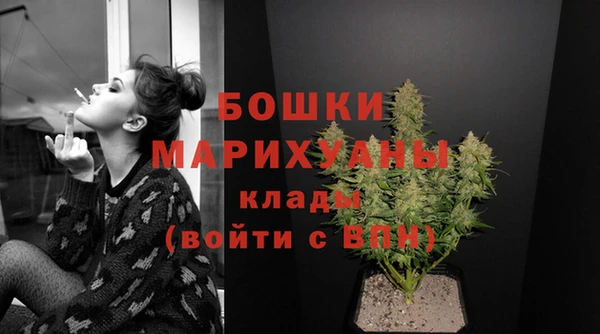 индика Инта