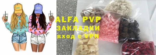 индика Инта