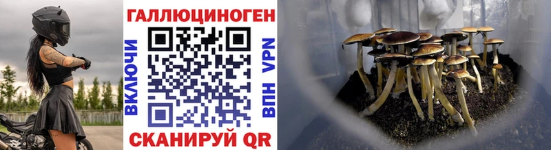 Галлюциногенные грибы Magic Shrooms  Купить закладки  Егорьевск 